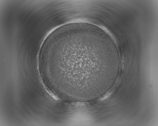 X0000058790862200510171318