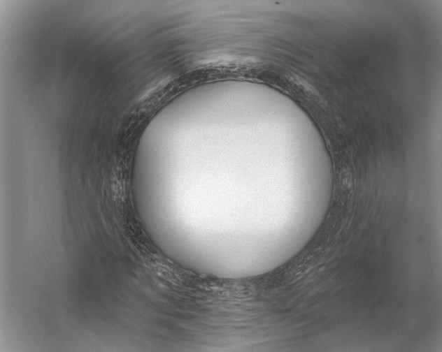 X0000058790869200510171317