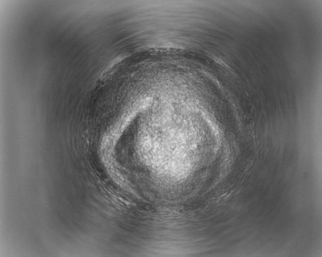 X0000058790870200510171317