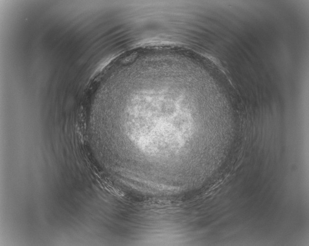 X0000058790871200510171317