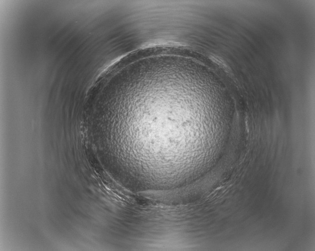 X0000058790872200510171317