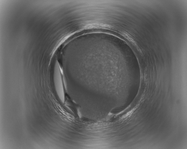 X0000058790877200510171317