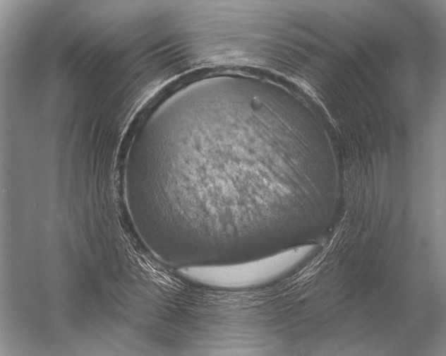 X0000058790879200510171317