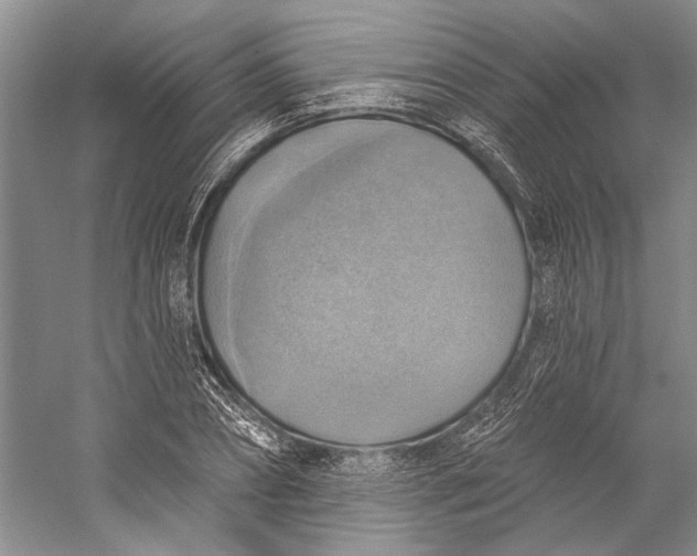 X0000058790882200510171317