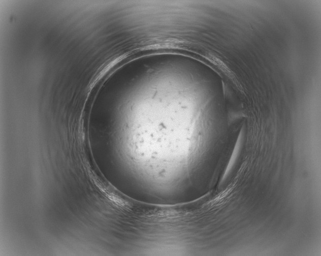 X0000058790885200510171317