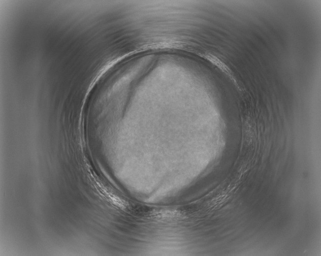 X0000058790886200510171317