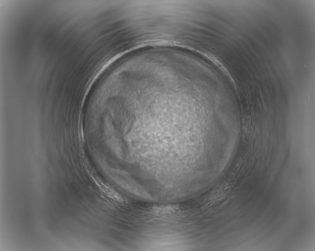 X0000058790887200510171317