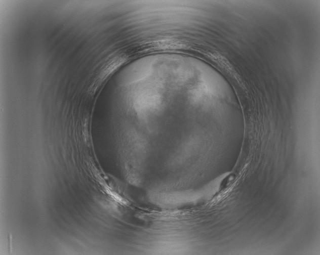 X0000058790889200510171317