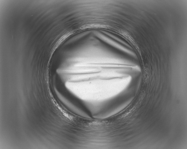 X0000058790898200510171317