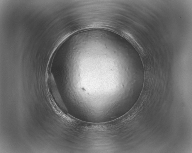 X0000058790900200510171317