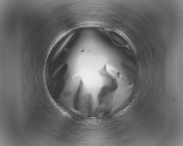 X0000058790901200510171317