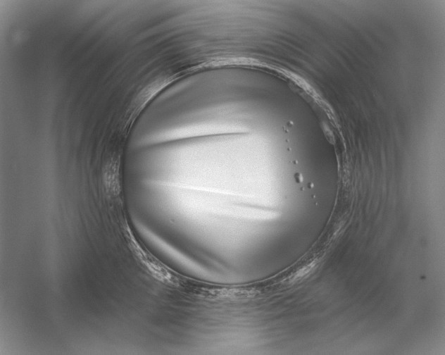 X0000058790905200510171317