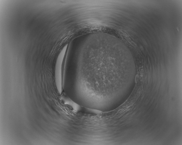X0000058790916200510171316