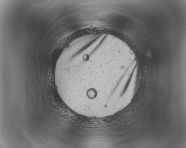 X0000058790918200510171316