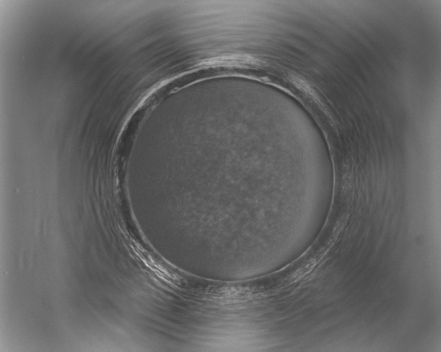 X0000058790923200510171316