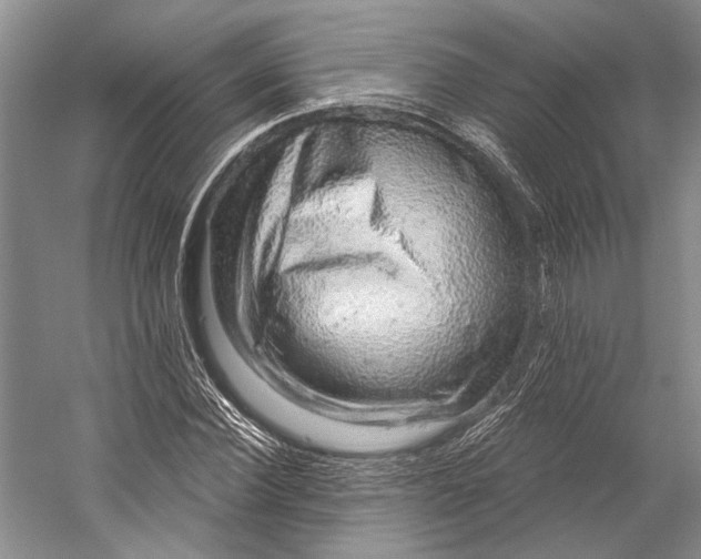 X0000058790924200510171316