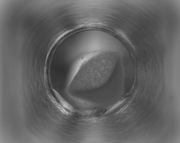 X0000058790932200510171316