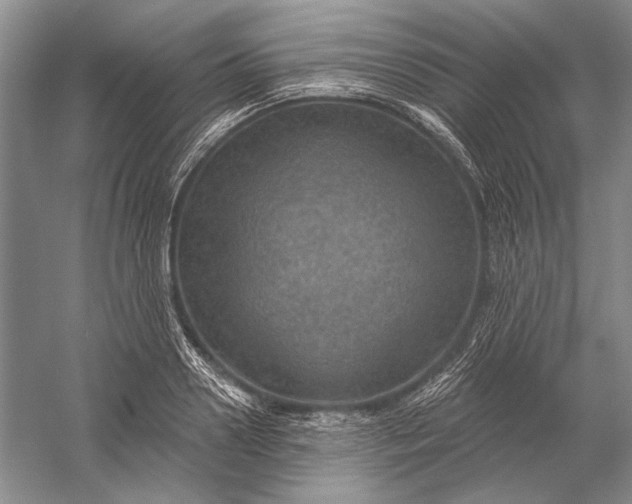 X0000058790938200510171316