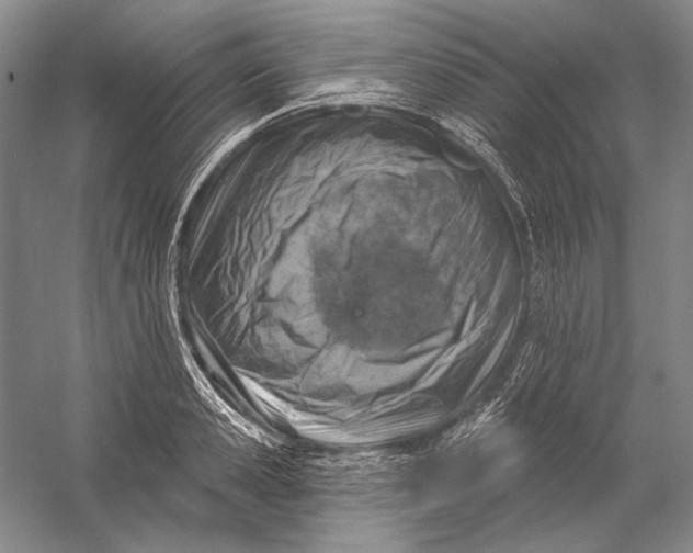 X0000058790941200510171316