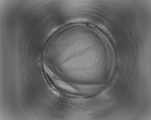 X0000058790945200510171316