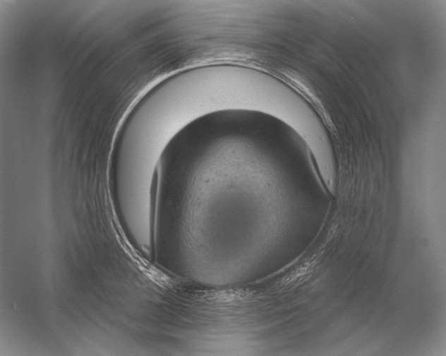 X0000058790948200510171316
