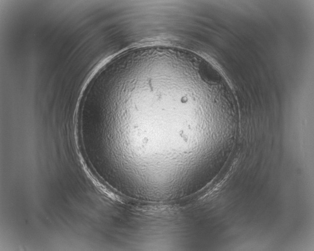 X0000058790949200510171316