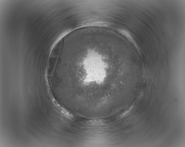 X0000058790952200510171316