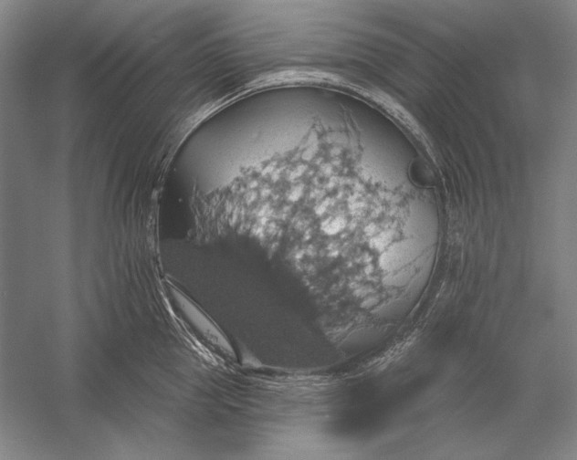 X0000058790953200510171316