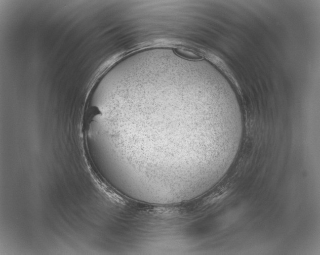 X0000058790954200510171316
