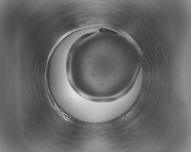 X0000058790956200510171316