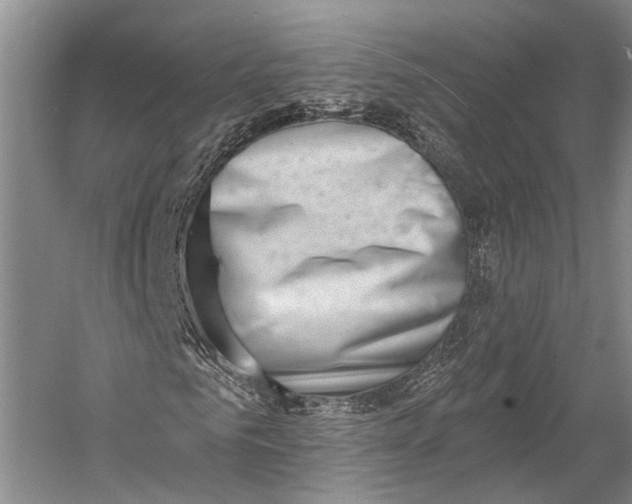 X0000058790961200510171316