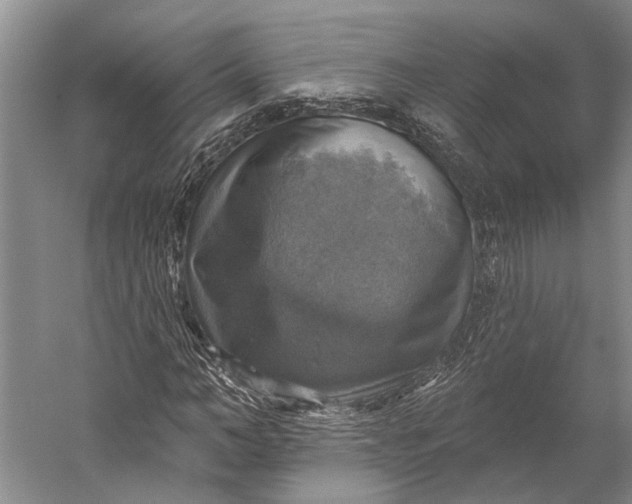 X0000058790966200510171315