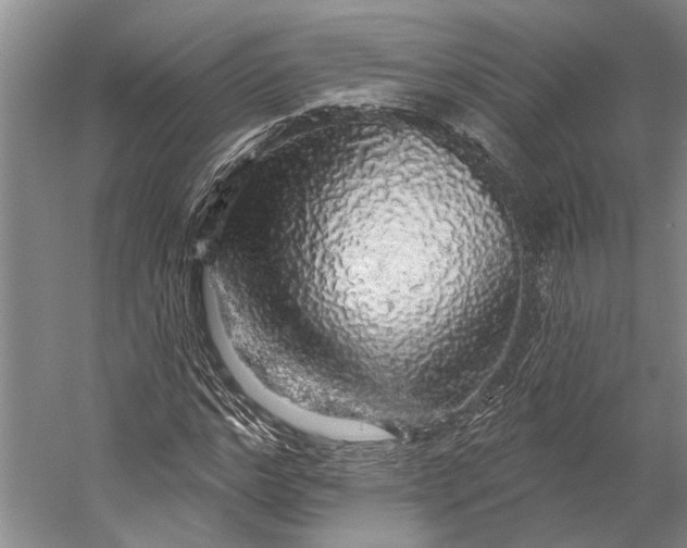 X0000058790968200510171315