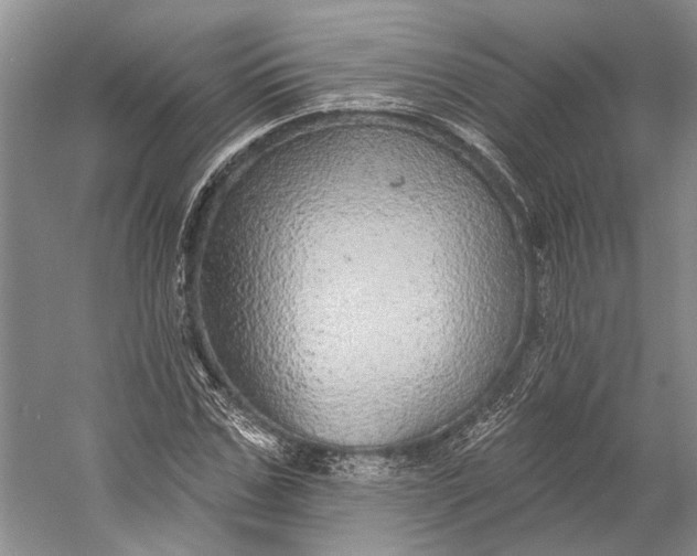 X0000058790971200510171315