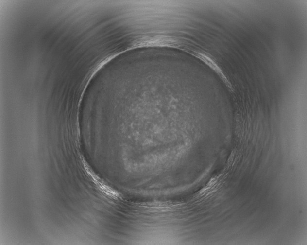 X0000058790980200510171315