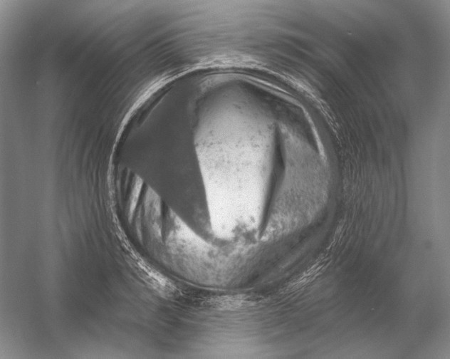 X0000058790990200510171315
