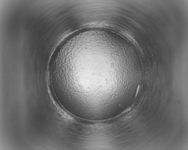 X0000058790992200510171315