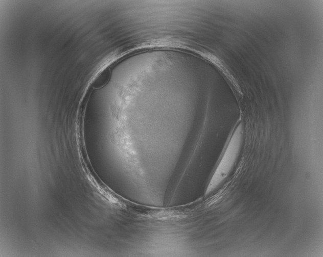 X0000058790998200510171315