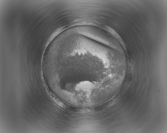 X0000058791002200510171315