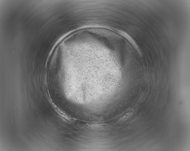 X0000058791004200510171315