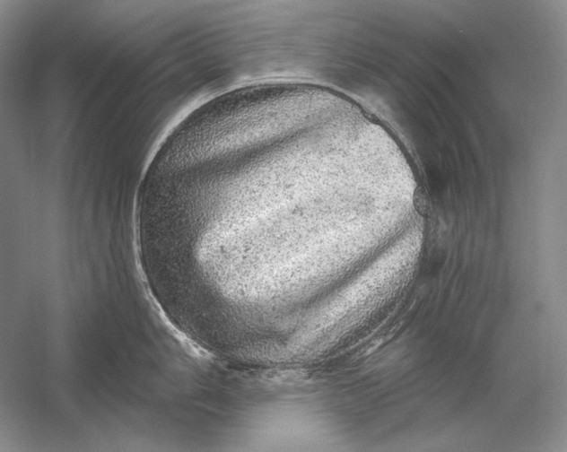 X0000058791006200510171315