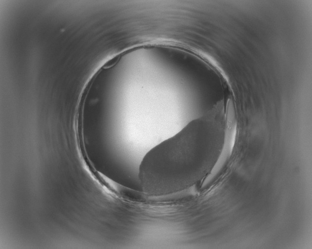 X0000058791007200510171315