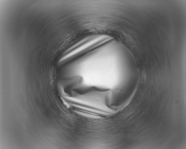 X0000058791012200510171314