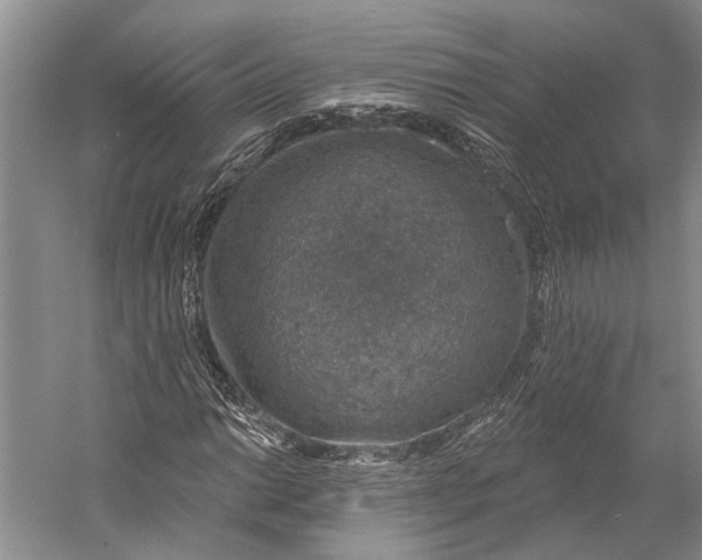 X0000058791014200510171314
