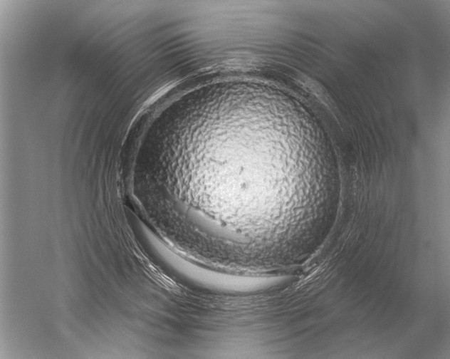 X0000058791018200510171314