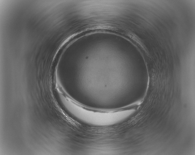 X0000058791024200510171314