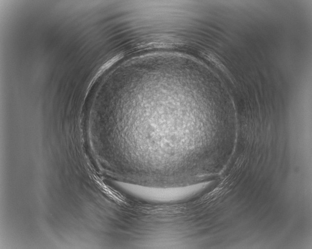 X0000058791026200510171314