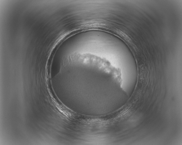 X0000058791031200510171314
