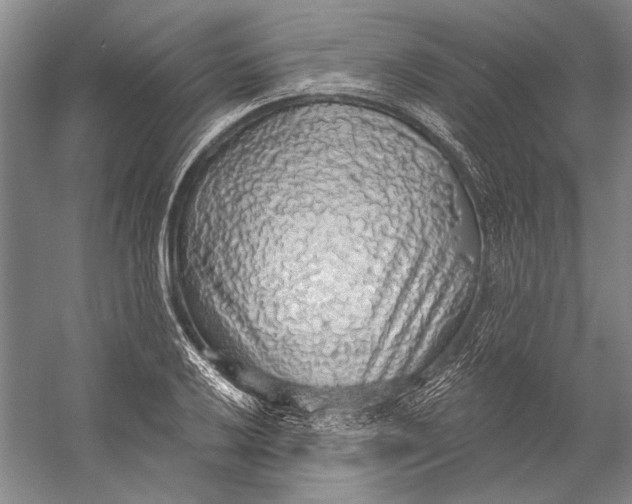 X0000058791032200510171314