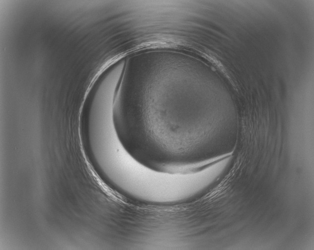 X0000058791034200510171314